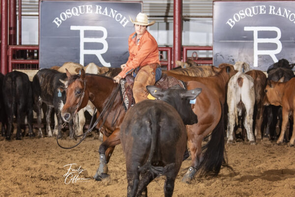 $4,000 LR Jess Hess on Toysintheattic, owned by Cyndi Merritt