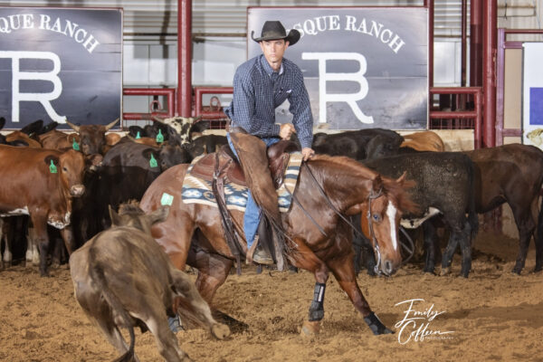 $5,000 Novice Rodrigo Taboga on Fino Vino, owned by Joao Ferraz De Almeida Prado