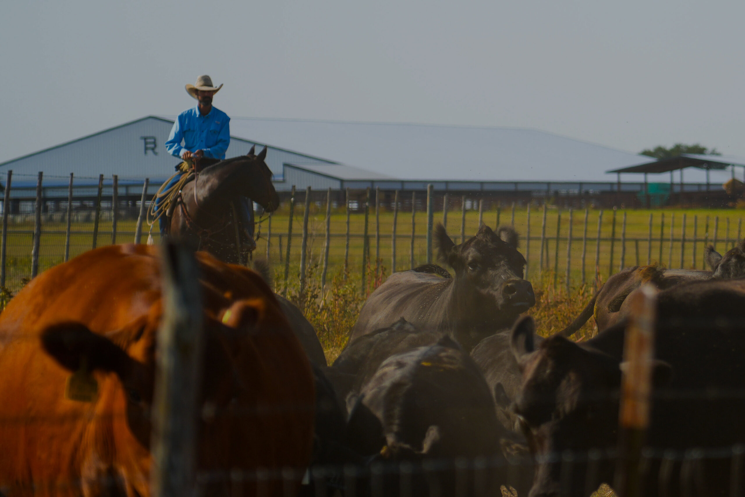Creating Tomorrow's Traditions - Bosque Ranch Headquarters