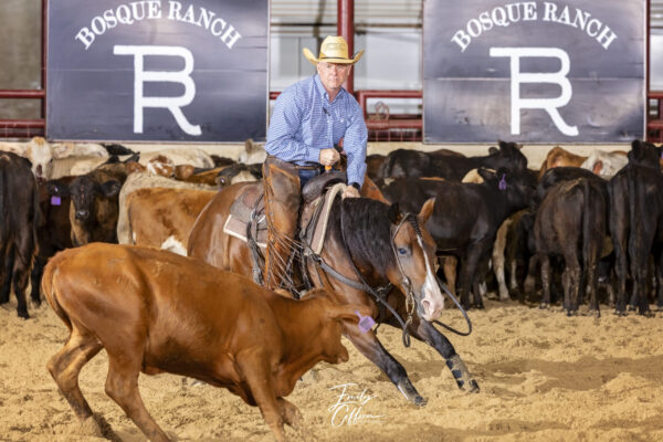 Open Classic Michael Cooper on Vitanni, owned by Candy & Greg Abshire