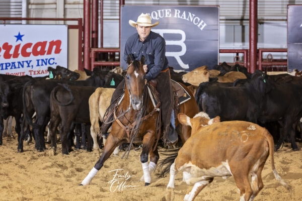 Unlimited Amateur Brad Weiss on My Smooth Lizzy, owned by Weiss Performance Horses